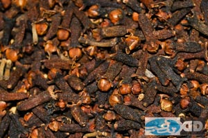 Imgcloveoil1.jpg